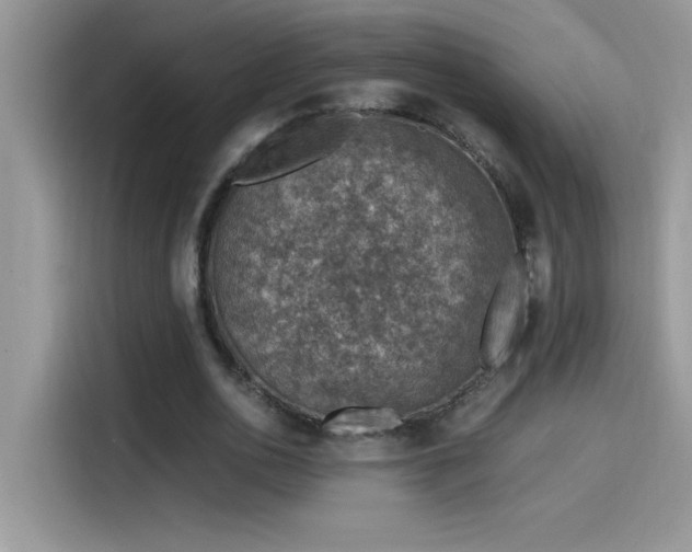 X0000115510726200911131340