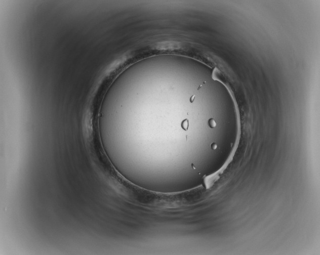 X0000115510727200911131340