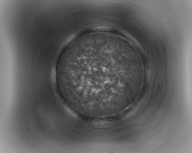 X0000115510729200911131340