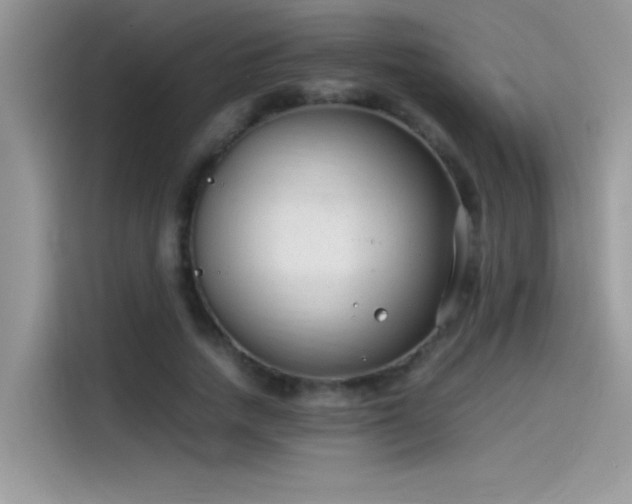 X0000115510738200911131340