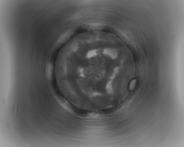 X0000115510742200911131340