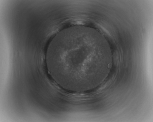 X0000115510747200911131340