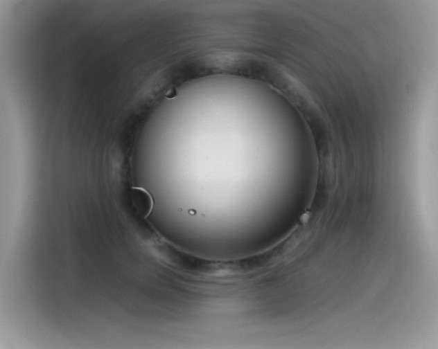 X0000115510750200911131341