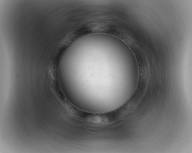 X0000115510755200911131341