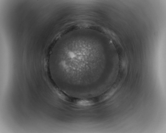 X0000115510759200911131341