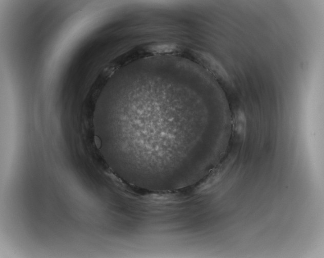 X0000115510763200911131341