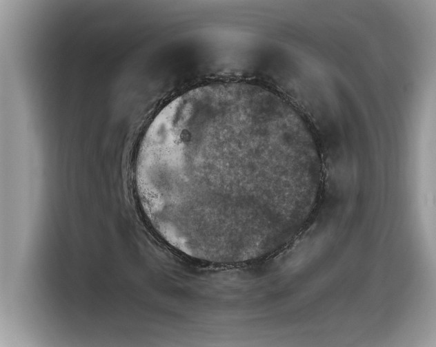 X0000115510769200911131340