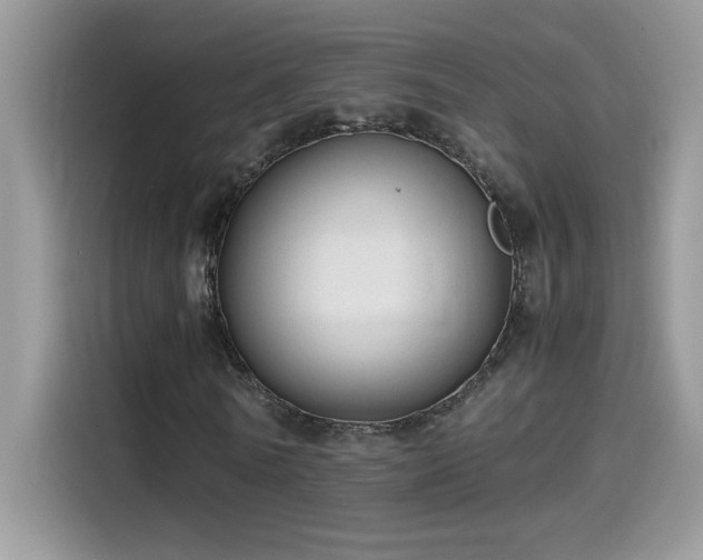 X0000115510770200911131340