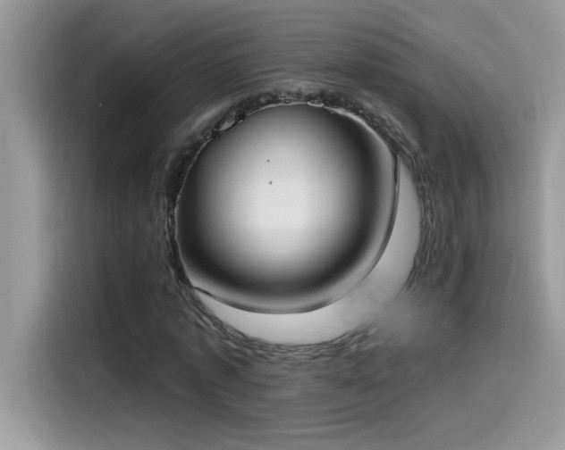 X0000115510773200911131340