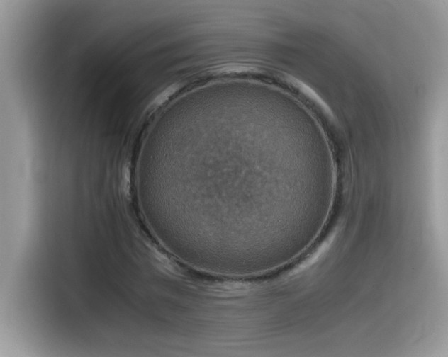 X0000115510777200911131340