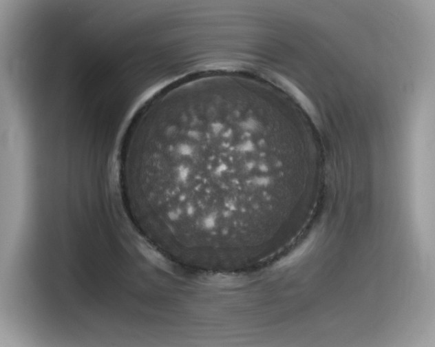 X0000115510779200911131340