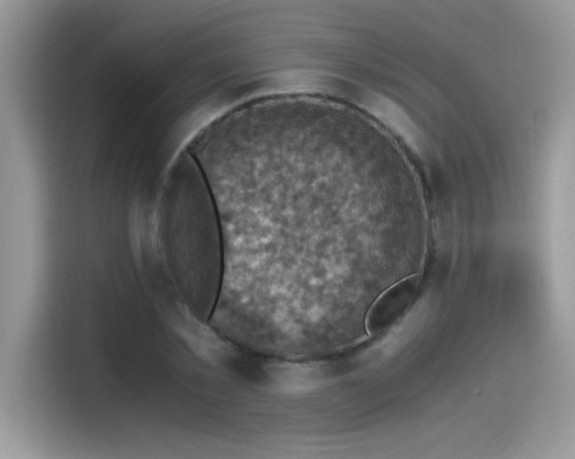 X0000115510781200911131340