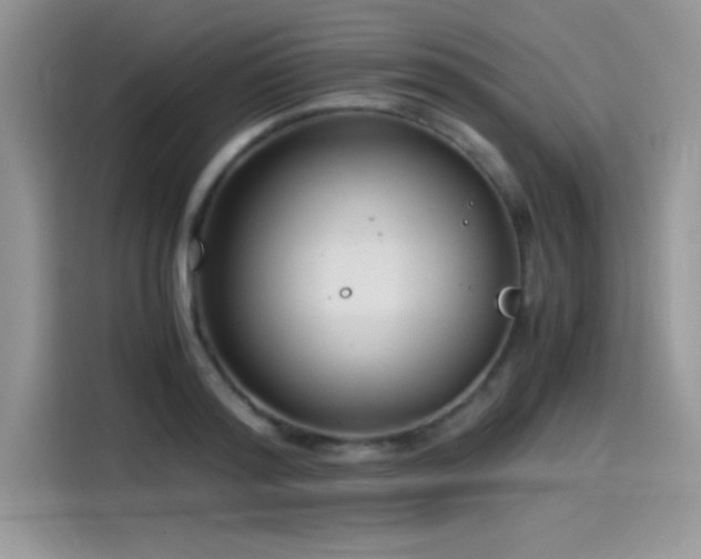 X0000115510796200911131340