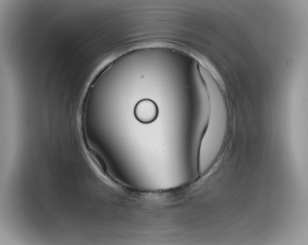 X0000115510805200911131340