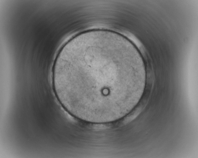 X0000115510807200911131340