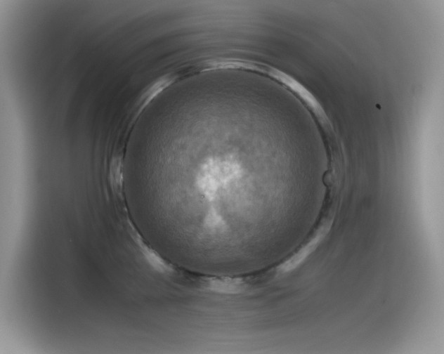 X0000115510809200911131340