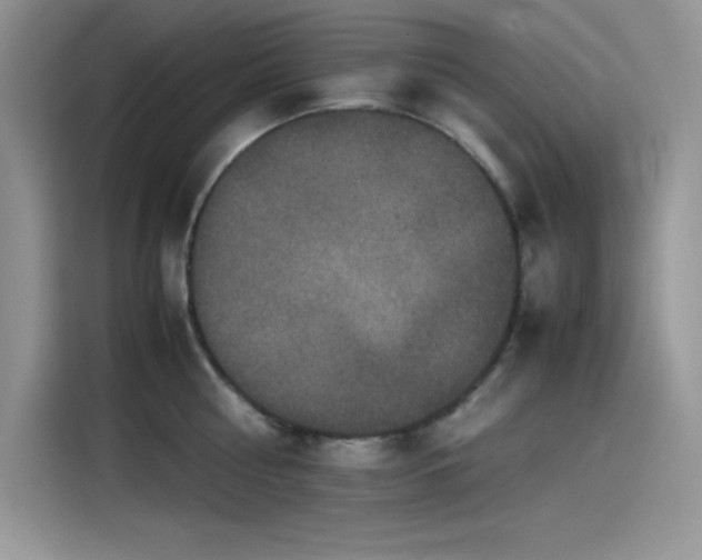 X0000115510810200911131340