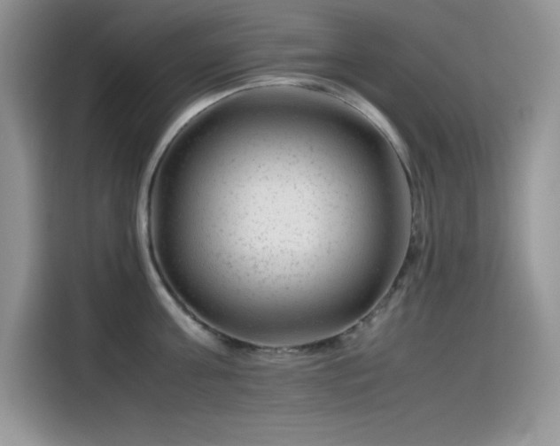 X0000115510811200911131340