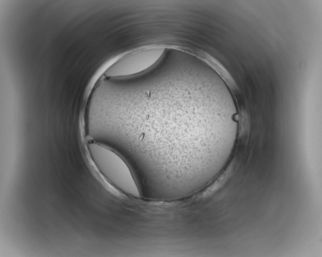 X0000115510812200911131340