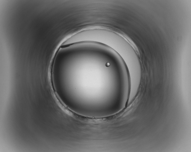 X0000115510813200911131340