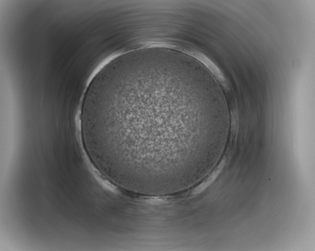 X0000115510814200911131340