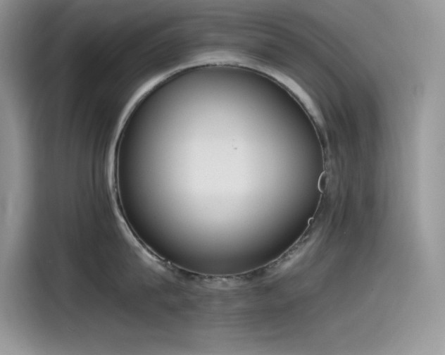 X0000115510815200911131340