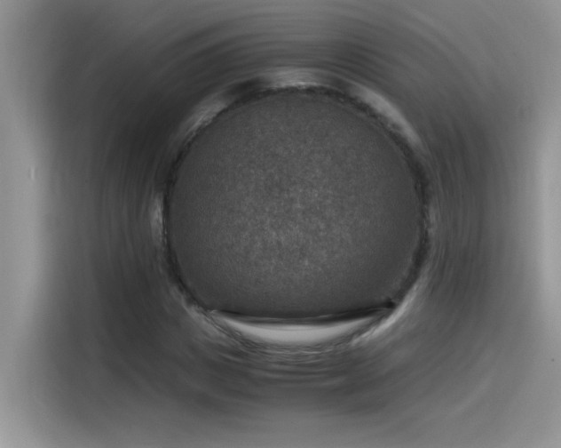 X0000115510825200911131339