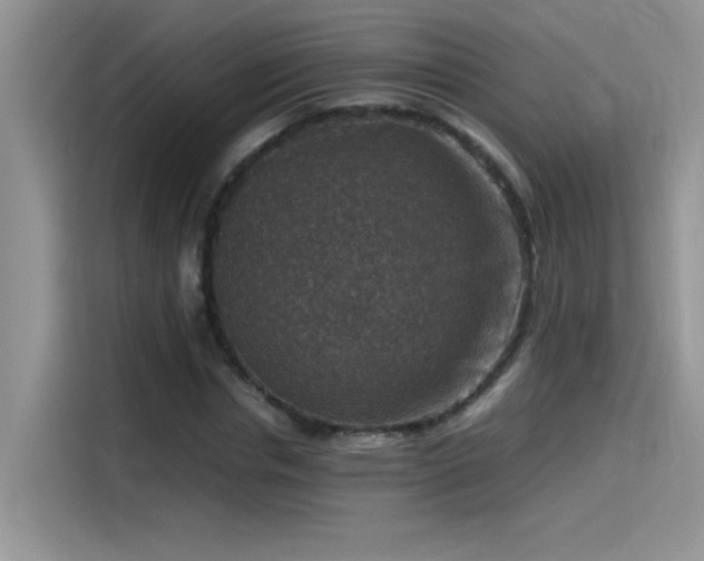 X0000115510826200911131339