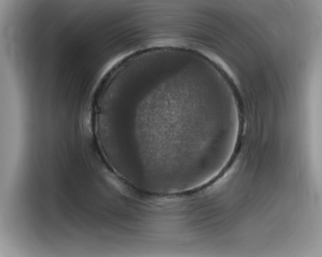 X0000115510830200911131339