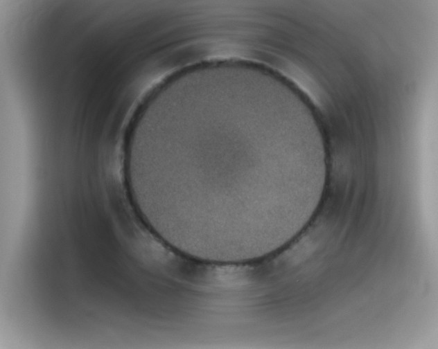 X0000115510832200911131339