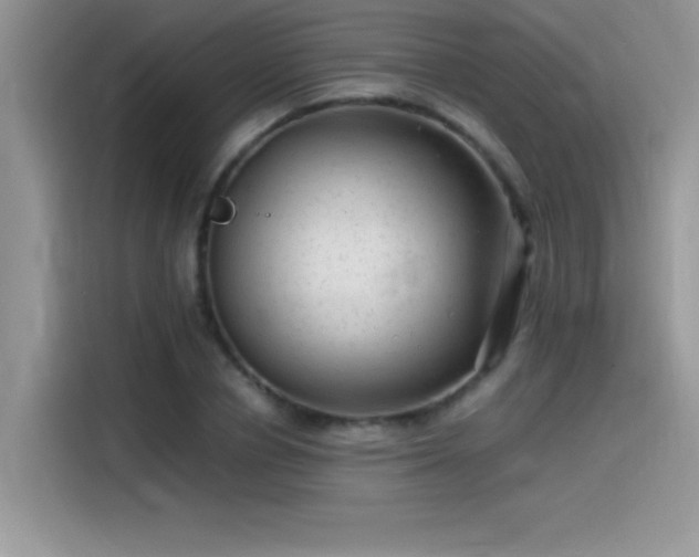 X0000115510834200911131339