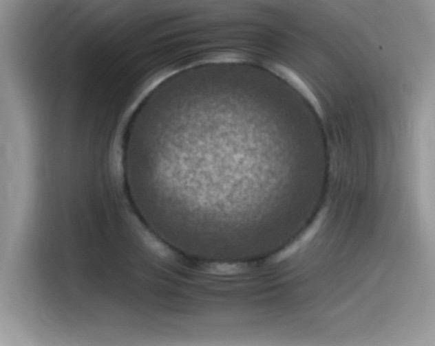 X0000115510835200911131339