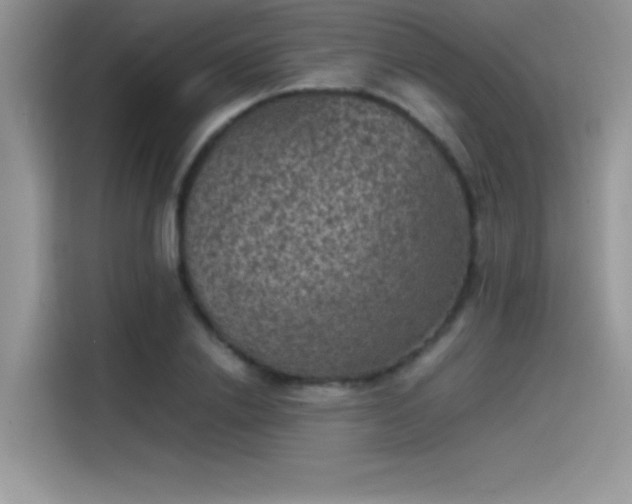 X0000115510838200911131339