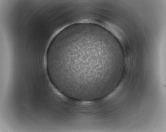 X0000115510839200911131339