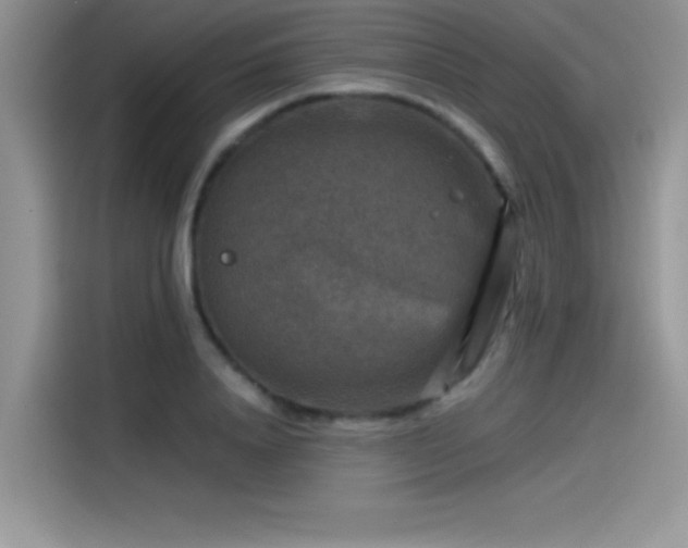 X0000115510840200911131339