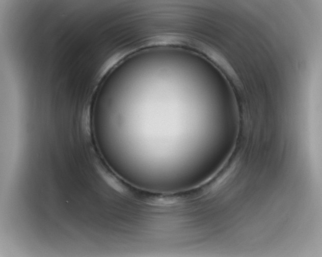 X0000115510842200911131339