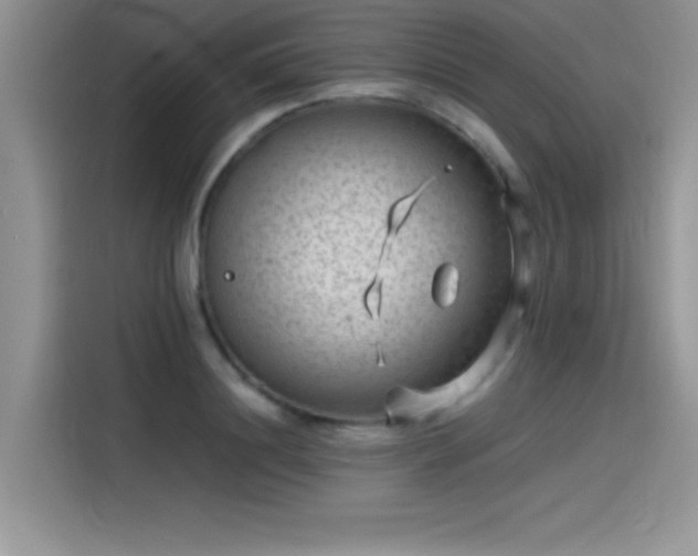 X0000115510844200911131339