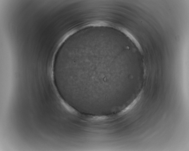 X0000115510845200911131339