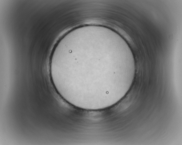 X0000115510848200911131339