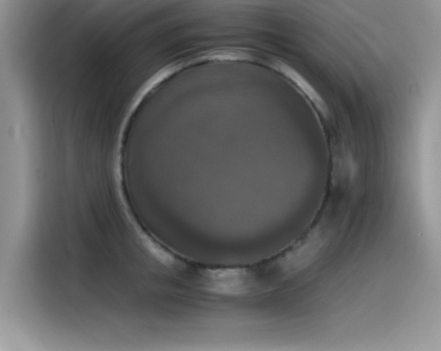 X0000115510853200911131339