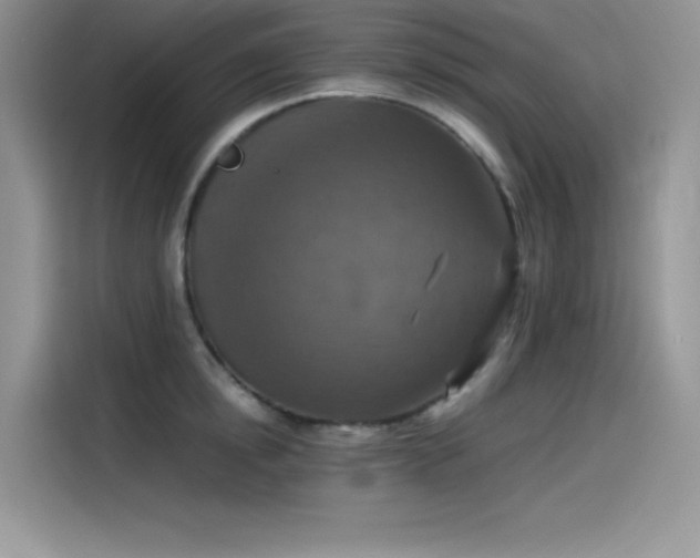 X0000115510854200911131339