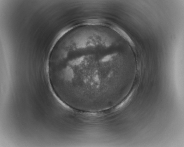 X0000115510855200911131339