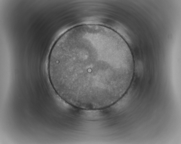 X0000115510856200911131339