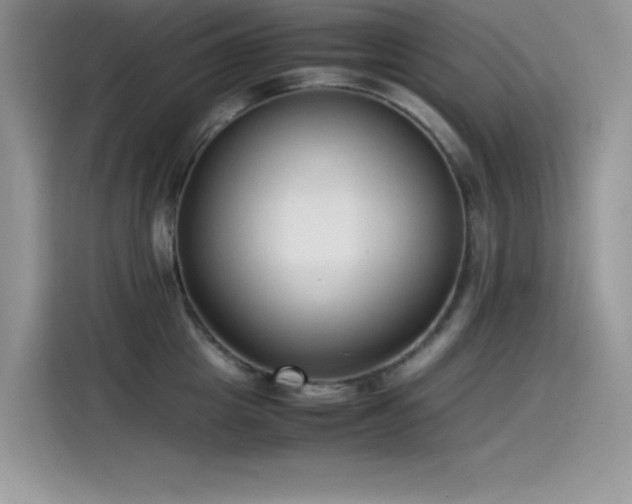 X0000115510857200911131339