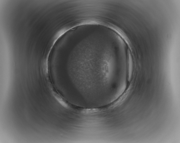 X0000115510858200911131339