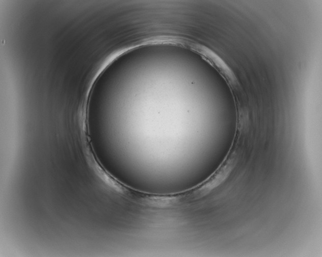 X0000115510860200911131339