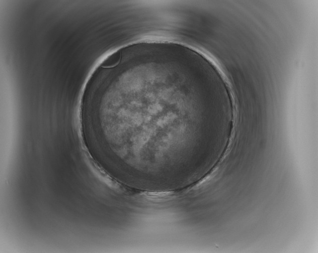 X0000115510864200911131339