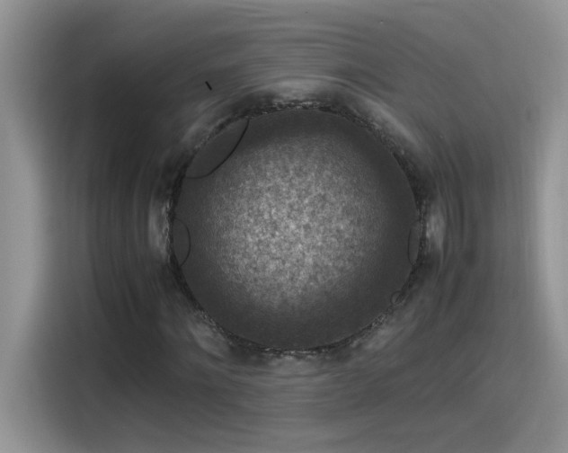 X0000115510868200911131339