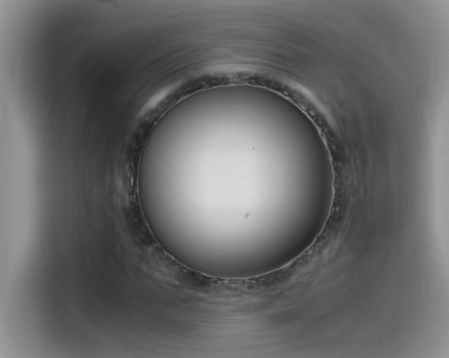 X0000115510871200911131339