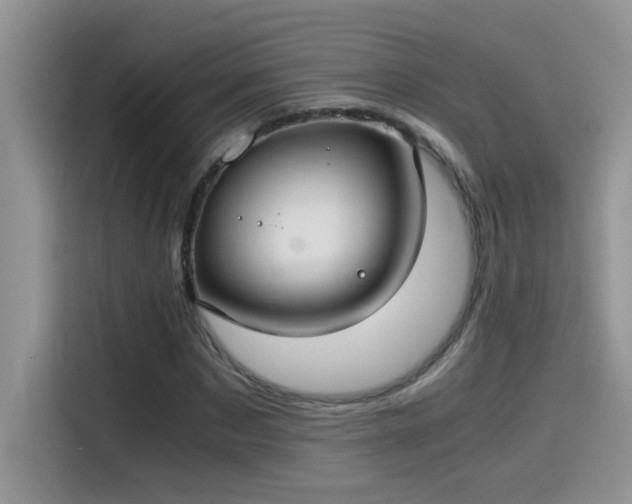 X0000115510873200911131339